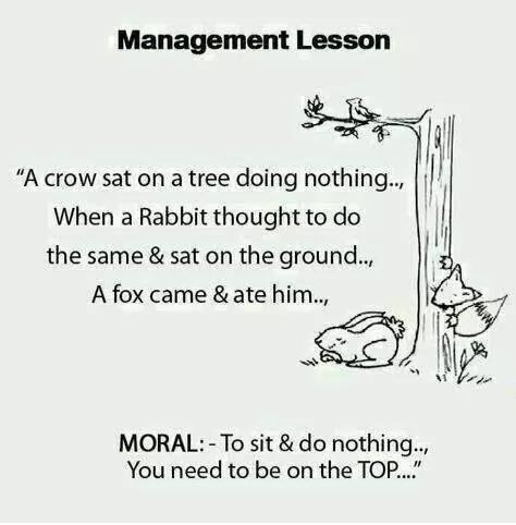 management lesson
