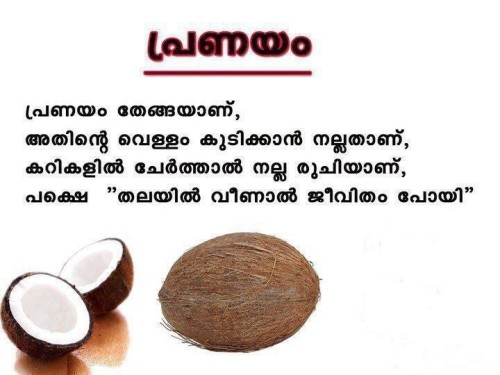Relation between coconut and love