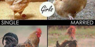 Boys and Girls before and after marriage.