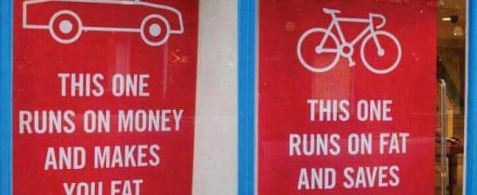 Car and Bicycle Vs Money and Fat