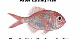Dont drink water after fish