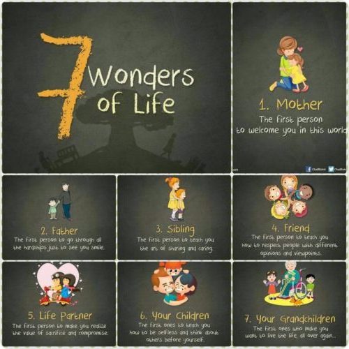 Seven wonders of life