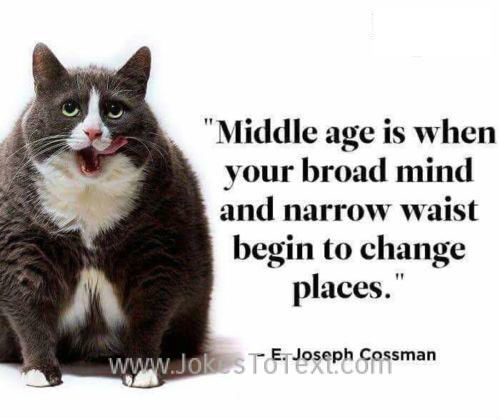 middle-age