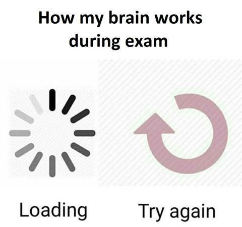 How my brain works during exams